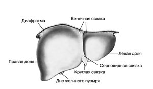 медрегистратор вакансии в москве